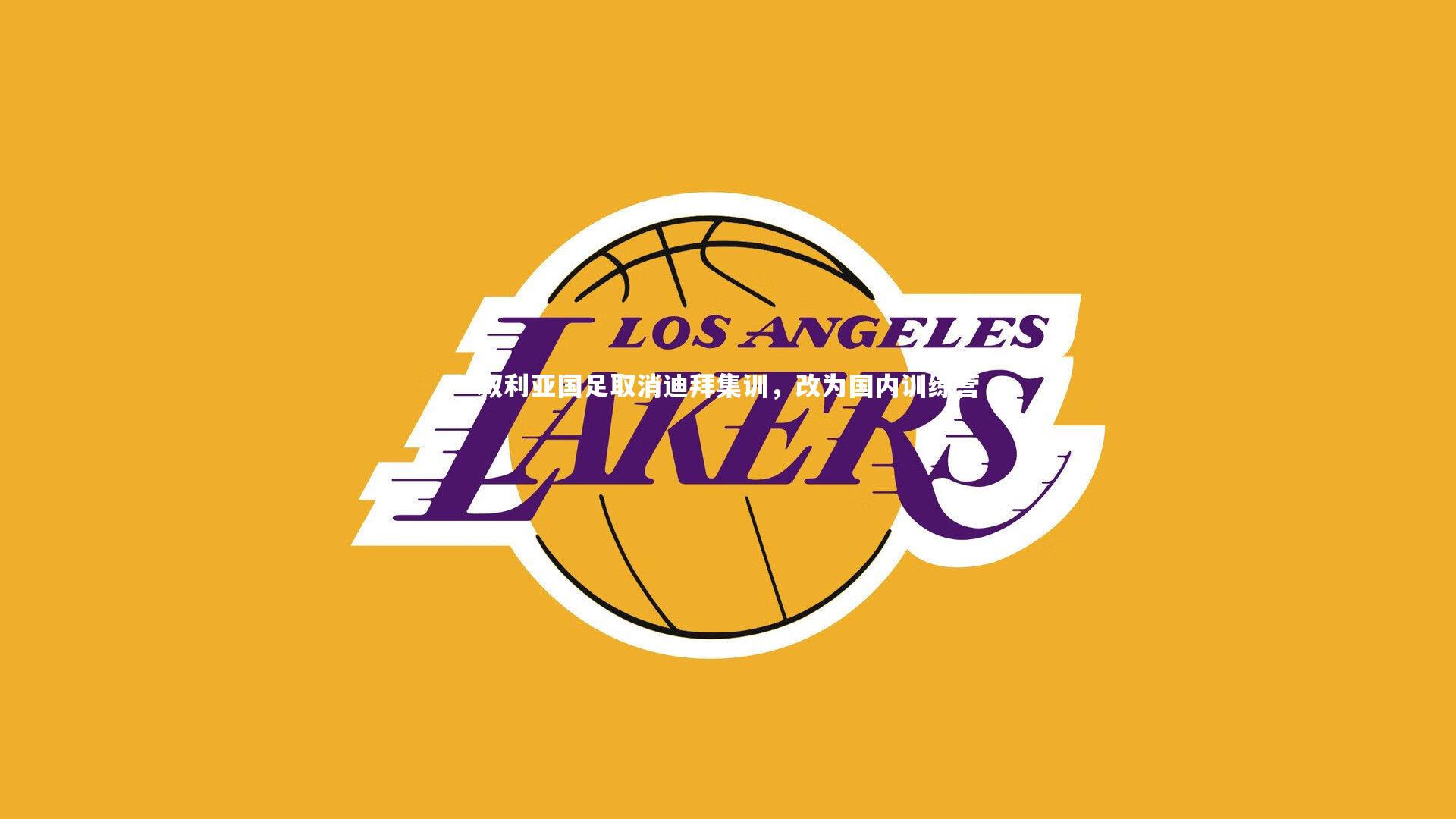 叙利亚国足取消迪拜集训，改为国内训练营